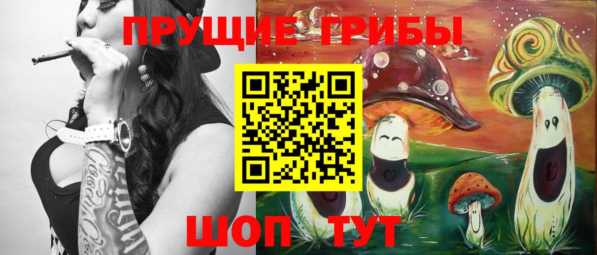 Псилоцибиновые грибы Psilocybine cubensis Карпинск